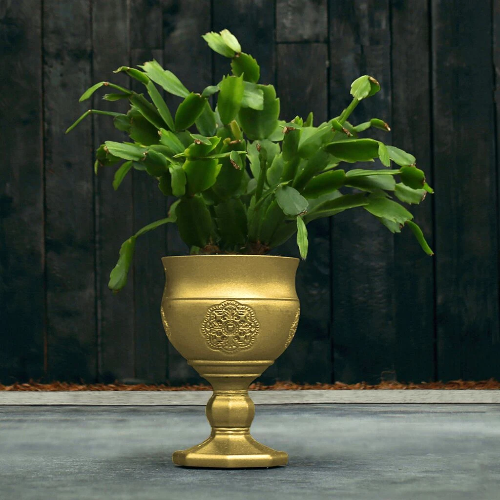 Besonderer Blumentopf - Kelch Aus Beton - Farbig Mit Ornament - Botero 3 Besonderer Blumentopf - Kelch Aus Beton - Farbig Mit Ornament - Botero