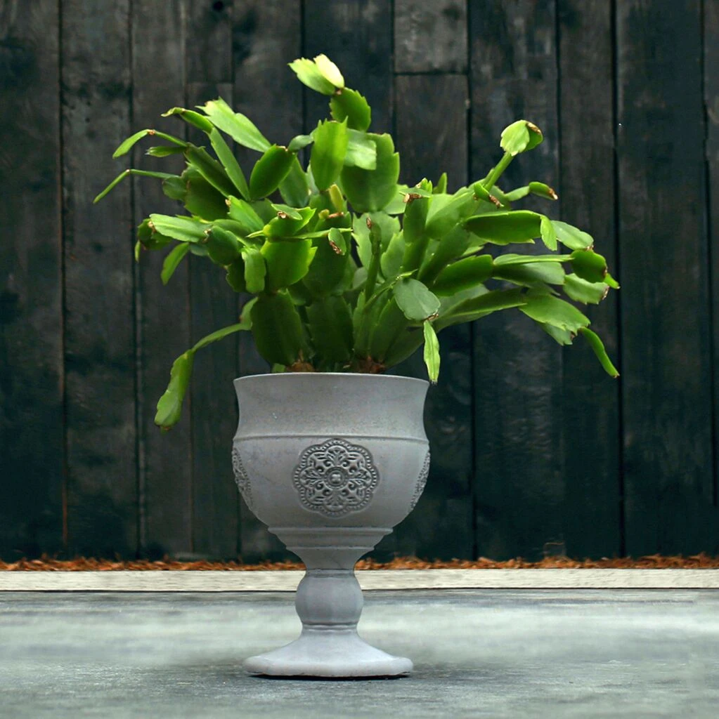 Besonderer Blumentopf - Kelch Aus Beton - Farbig Mit Ornament - Botero 4 Besonderer Blumentopf - Kelch Aus Beton - Farbig Mit Ornament - Botero – Bild 2