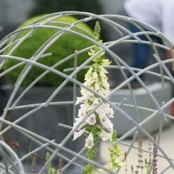 Deko Kugel Für Den Außenbereich Aus Metall Mit Rundstreben - Ollegiro Meno -Pflanztöpfe Verkaufsgeschäft deko kugel fuer den aussenbereich aus metall mit rundstreben ollegiro meno3