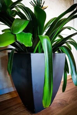 Eckige Pflanzvase Aus Steinguss Für Die Gartengestaltung - Lisandra -Pflanztöpfe Verkaufsgeschäft eckige pflanzvase aus steinguss fuer die gartengestaltung lisandra3