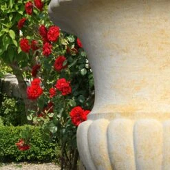 Große Stein Gartenamphore - Goethe Amphore -Pflanztöpfe Verkaufsgeschäft grosse stein gartenamphore goethe amphore4