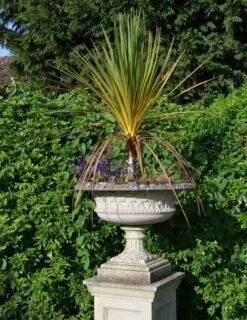 Großes Gartengefäß Historisch - Brickhill Manor 10 Großes Gartengefäß Historisch - Brickhill Manor -Pflanztöpfe Verkaufsgeschäft grosses gartengefaess historisch brickhill manor3