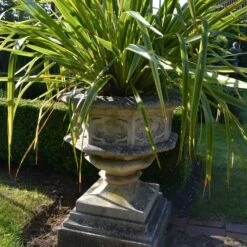 Großes Sandsteingefäß Historisch - Hertford Castle -Pflanztöpfe Verkaufsgeschäft grosses sandsteingefaess historisch hertford castle3