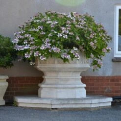 Historischer Pflanztrog Groß XXL - Elstow Abbey -Pflanztöpfe Verkaufsgeschäft historischer pflanztrog gross xxl elstow abbey4