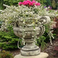 Romantische Pflanzamphore Für Den Garten - Wilhelma