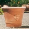 Schöner Terracotta Pflanzkübel Mit Ornament - Sergio