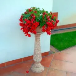 Steinguss Schale Inklusive Säule Im Maritimen Design Mit Muscheln - Harmonia