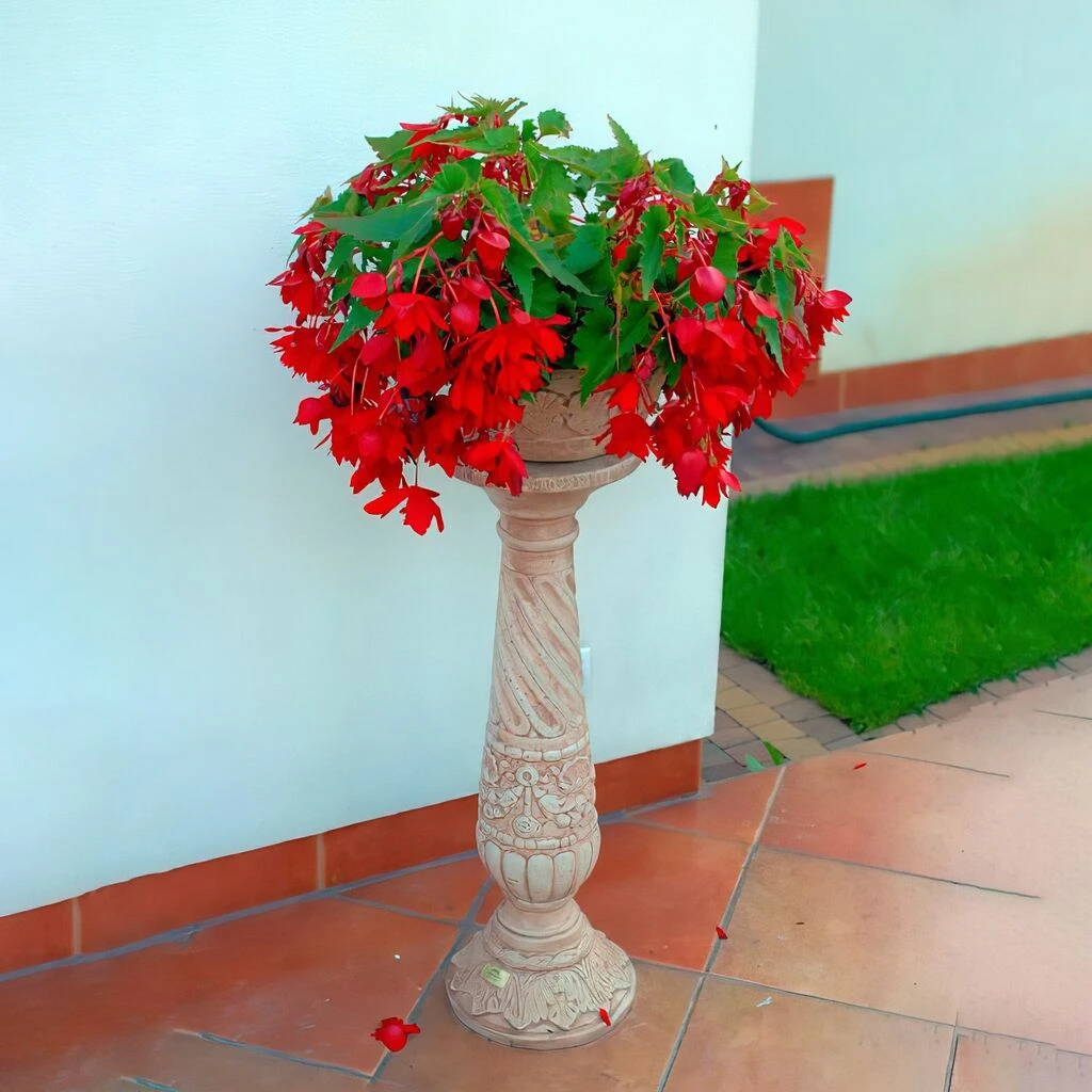 Steinguss Schale Inklusive Säule Im Maritimen Design Mit Muscheln - Harmonia 3 Steinguss Schale Inklusive Säule Im Maritimen Design Mit Muscheln - Harmonia