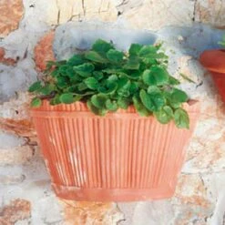 Terrakotta Wand Pflanztopf Für Draußen - Vecellio