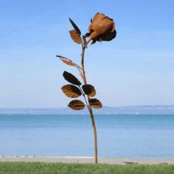 XXL Gartenrose Aus Stahl Mit Details Aus Handarbeit - Rosera 11 XXL Gartenrose Aus Stahl Mit Details Aus Handarbeit - Rosera -Pflanztöpfe Verkaufsgeschäft xxl gartenrose aus stahl mit details aus handarbeit rosera5