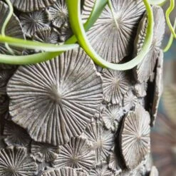 XXL Vase Mit Einsatz - Polystone - Grau - Indoor - Rund - Semere -Pflanztöpfe Verkaufsgeschäft xxl vase mit einsatz polystone grau indoor rund semere3