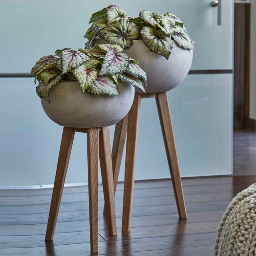 Pflanztöpfe Verkaufsgeschäft 25 Pflanztöpfe Verkaufsgeschäft -Pflanztöpfe Verkaufsgeschäft 2er set pflanzschale mit holzfuss modern leicht pico